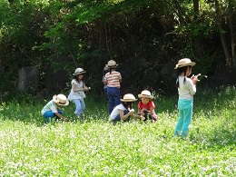 なにつくろうかな~✿✿