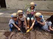 大きくなるかなぁ